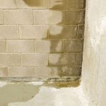 How To Eliminate Moisture In Your Basement