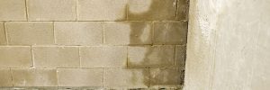 How To Eliminate Moisture In Your Basement