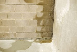 How To Eliminate Moisture In Your Basement