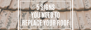 5 Signs You Need To Replace Your Roof
