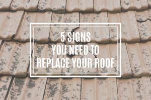 5 Signs You Need To Replace Your Roof