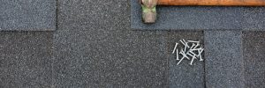 4 Essential Roof Maintenance Tips